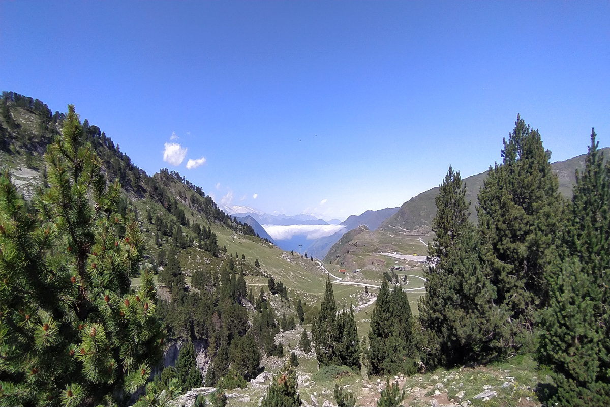 FELICIDAD INUSITADA.